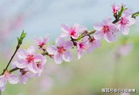 八字合婚生辰八字配对_八字配对生辰合婚怎么看_生辰八字合婚配对表