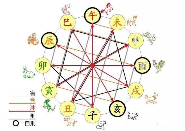 合婚天干合和地支合_天干合地支合怎么解_合婚天干地支相合