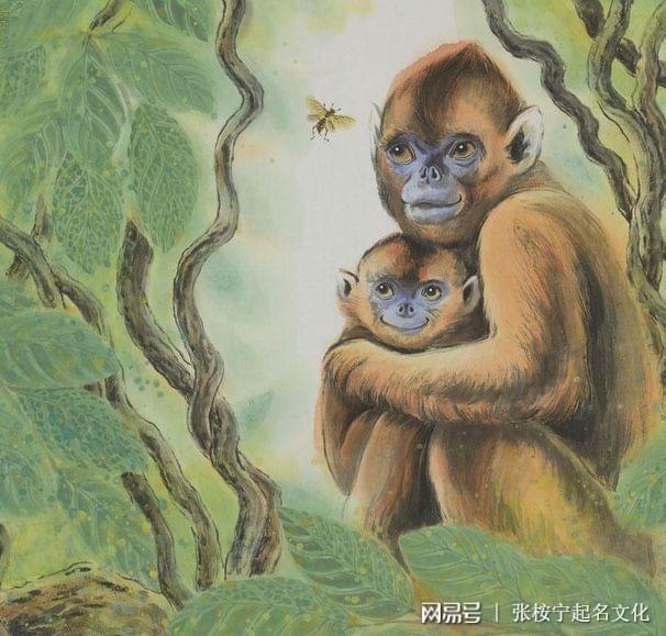 属龙人的正缘_生肖龙正缘年份_属龙人正缘出现年龄