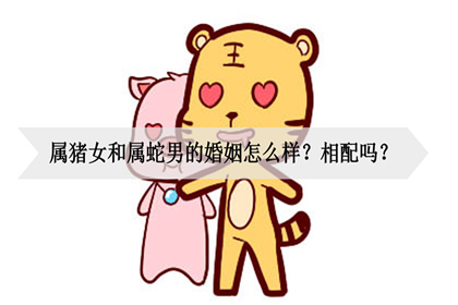 寅虎亥猪婚配_寅虎和亥猪互为相破怎样化解_亥猪合婚和寅虎