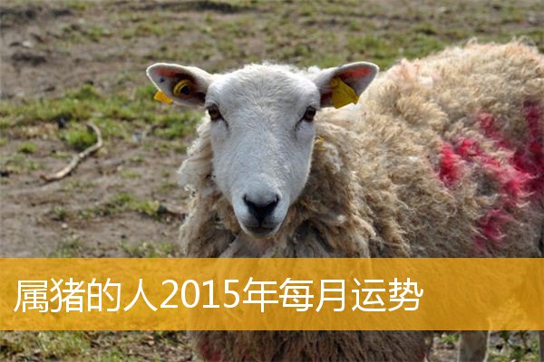 属龙人女人_宋韶光64年属龙女人2016年应该注意_属龙的女性在2021年好不好