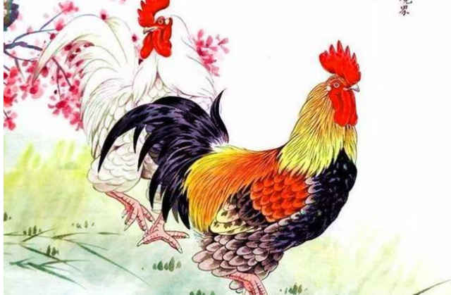 属鸡的出生月份最好_属鸡月份出生最好命_属鸡生的月份