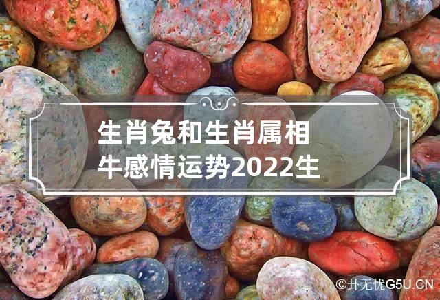 属兔狗时出生的女人好不好_属兔狗巡视时间出生的人命运_属兔和属狗