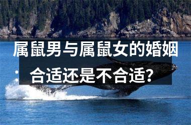 属鼠和属鼠的八字怎么样_鼠的八字是什么_男女婚配八字合婚表鼠男