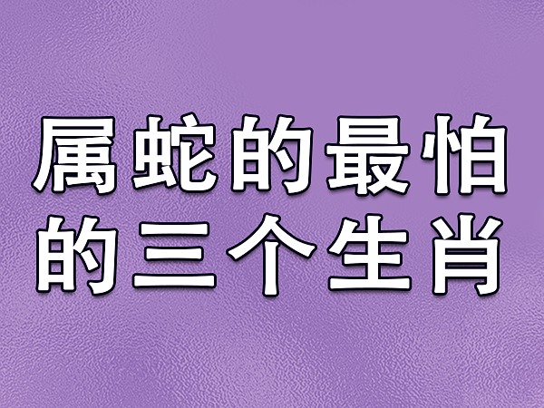 八字合婚属猪和属马_属马八字猪合婚吗_属马和属猪的八字合不合