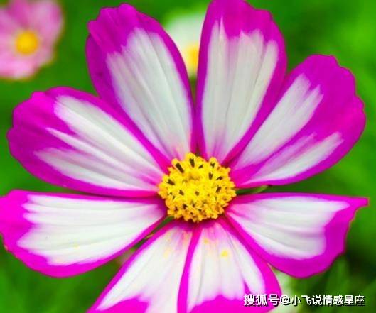 属龙人2023年全年运势详解_属龙人在2023年运势好些_属龙的人2023年运势及运程