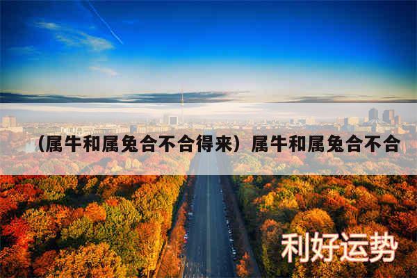兔合龙相配吗_龙与兔的属相合不合_兔龙合得来吗