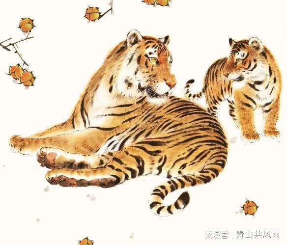 属鼠和属虎的合不合婚_属鼠和属虎结婚怎么样_属鼠的和属虎的结婚能幸福吗