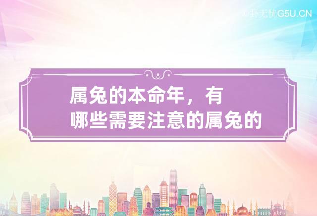 兔年本命年属兔的人要注意什么_属兔命不好吗_兔命属注意本年人的运气