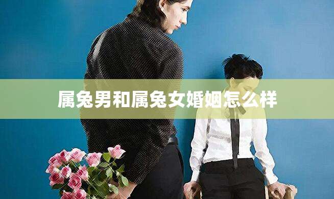 兔的婚配_女人属兔的最佳婚配_兔配什么生肖结婚最好女