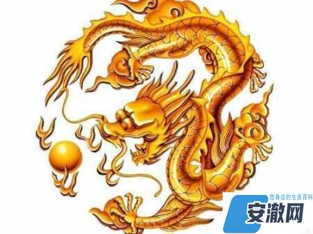 属虎的和属龙的婚配怎么样_虎配龙婚姻_属虎龙最佳婚配