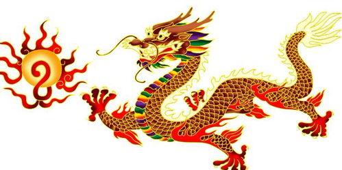 属兔多大_几岁是属兔的_属兔的多大