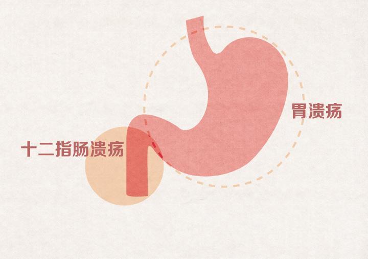 龙哪月出生大富大贵_生肖龙月份出生的人最好命_56岁龙9月出生命好不好