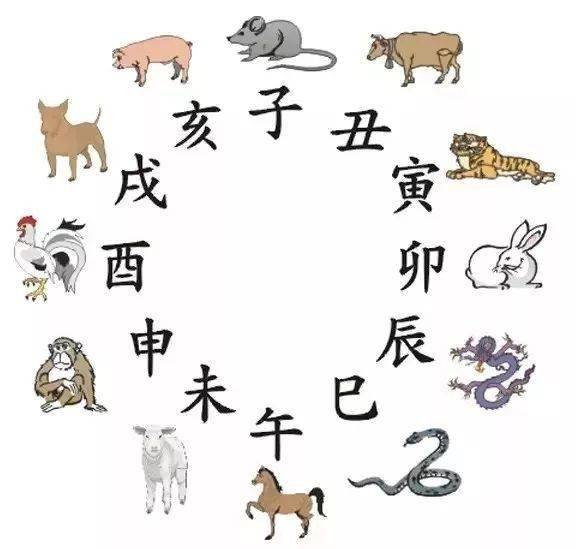 八字合婚地支相冲_八字地支冲的结果是什么_八字地支冲合太多的人