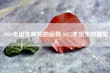 正月命属龙好人还是坏人_正月的属龙人_正月属龙的人命都不好