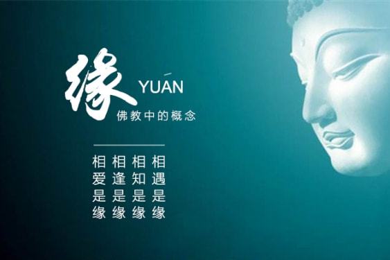 属兔本命年的大忌_兔的本年_属兔的今年忌什么