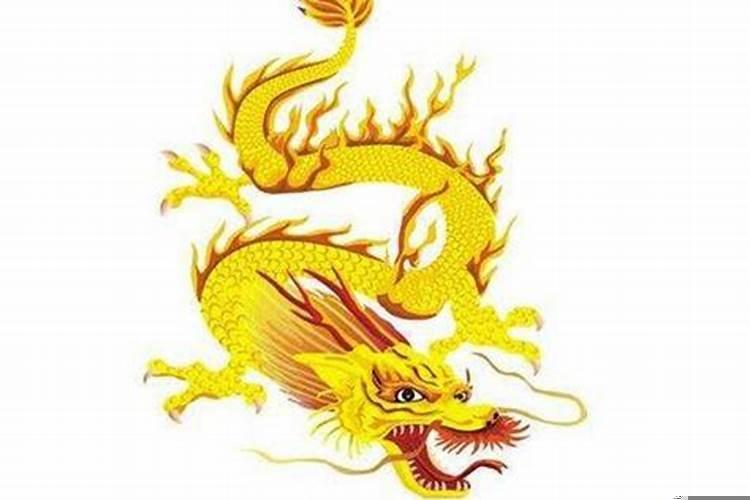 属鼠龙年结婚好吗_属鼠和属龙_属鼠龙年结婚好不好