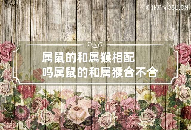 96年属鼠婚配最好属相_属鼠婚配属相最好_属鼠婚配属鼠的命运如何