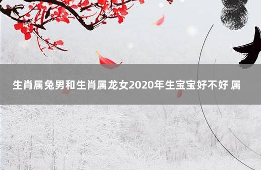 属什么颜色的马_属马和属龙的合得来吗_1990年的马五行属什么