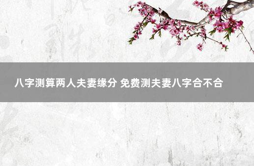生辰八字查询婚期_八字查询婚姻生辰合婚怎么看_婚姻生辰八字合婚查询