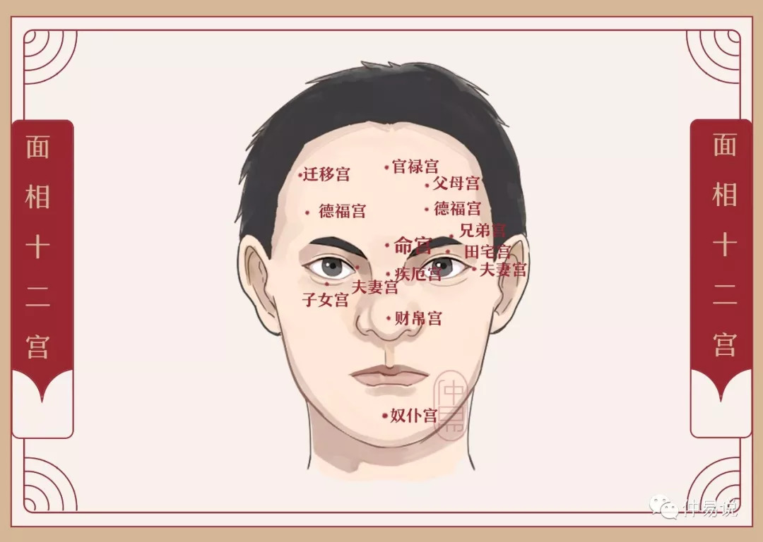相术大全图解_十二相术_相术面相
