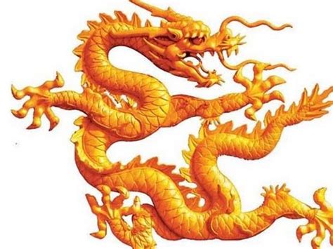 年属龙人的全年运势_属龙的人年的运势及运程_2024年属龙人的全年运势1988出生