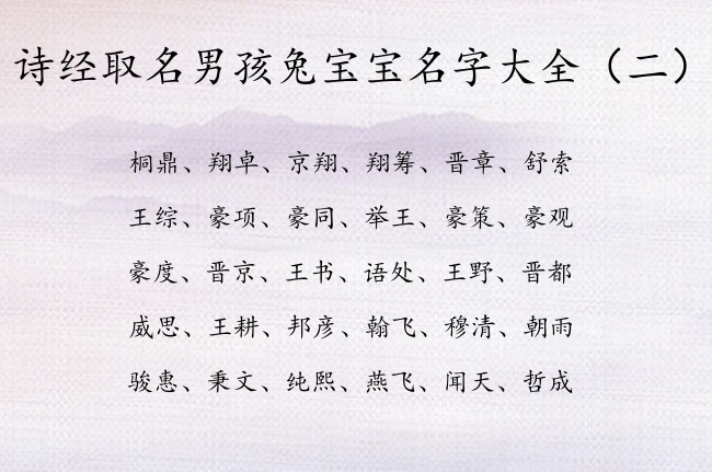 属兔的男孩取名字宜忌_属兔男孩最吉利的名字简单_属兔男孩起名宜用字