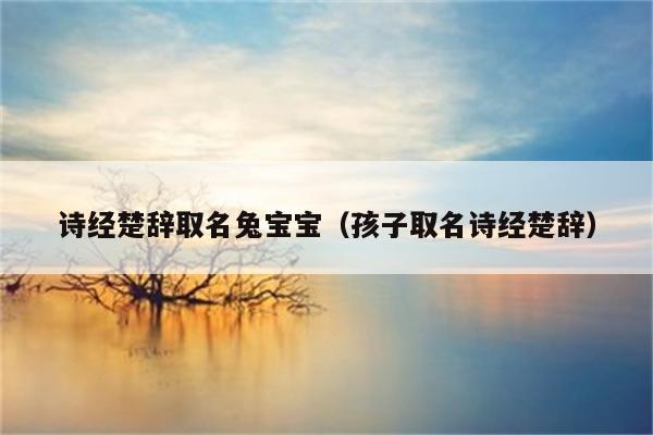 属兔男孩起名宜用字_属兔男孩最吉利的名字简单_属兔的男孩取名字宜忌