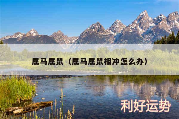 鼠合适婚配是否合适呢_鼠与鼠婚配是否合适_鼠婚配禁忌