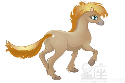 属兔生什么_属兔生在几点最好命_属兔的命好吗这一生