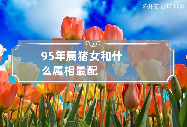 猪男对待感情的态度_生肖猪对待感情_属猪男对待爱情主动吗