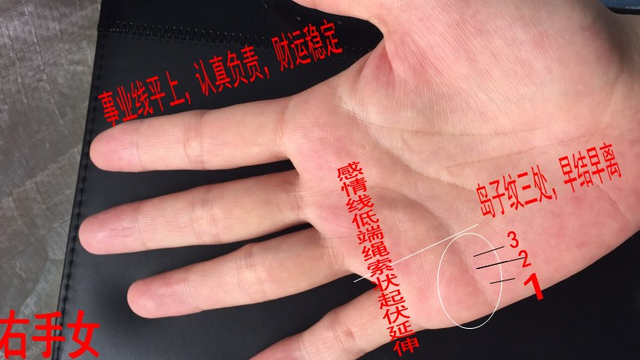岛纹看左手还是右手_男的右手感情线有岛纹_有岛纹的手相