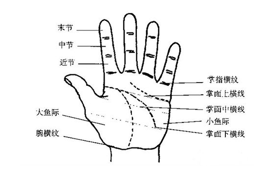右手有岛纹是什么预兆_手相岛纹线_男的右手感情线有岛纹