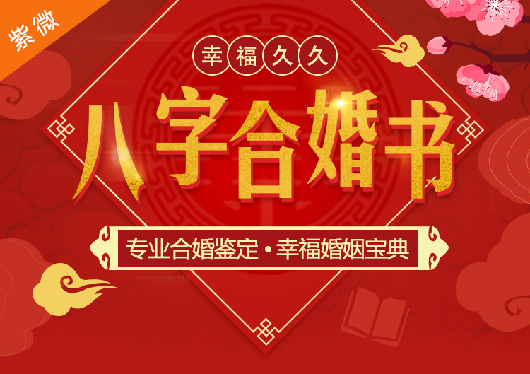 在线男女生辰八字合婚_男女算生辰八字合婚_免费男女八字合婚