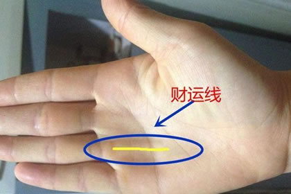 手相相法_大全手相相术图片_相术手相大全