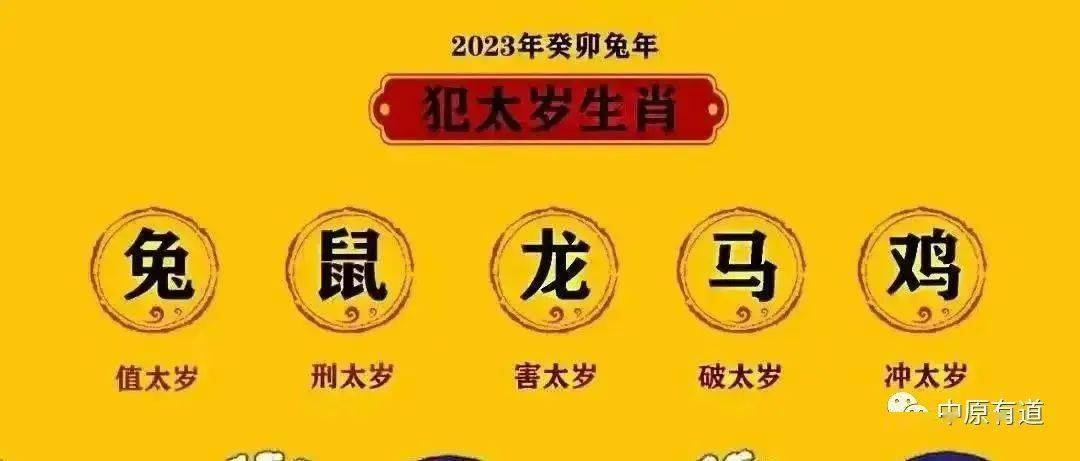 属兔和属鼠八字合婚_属鼠和属兔八字合不合_属兔八字相合