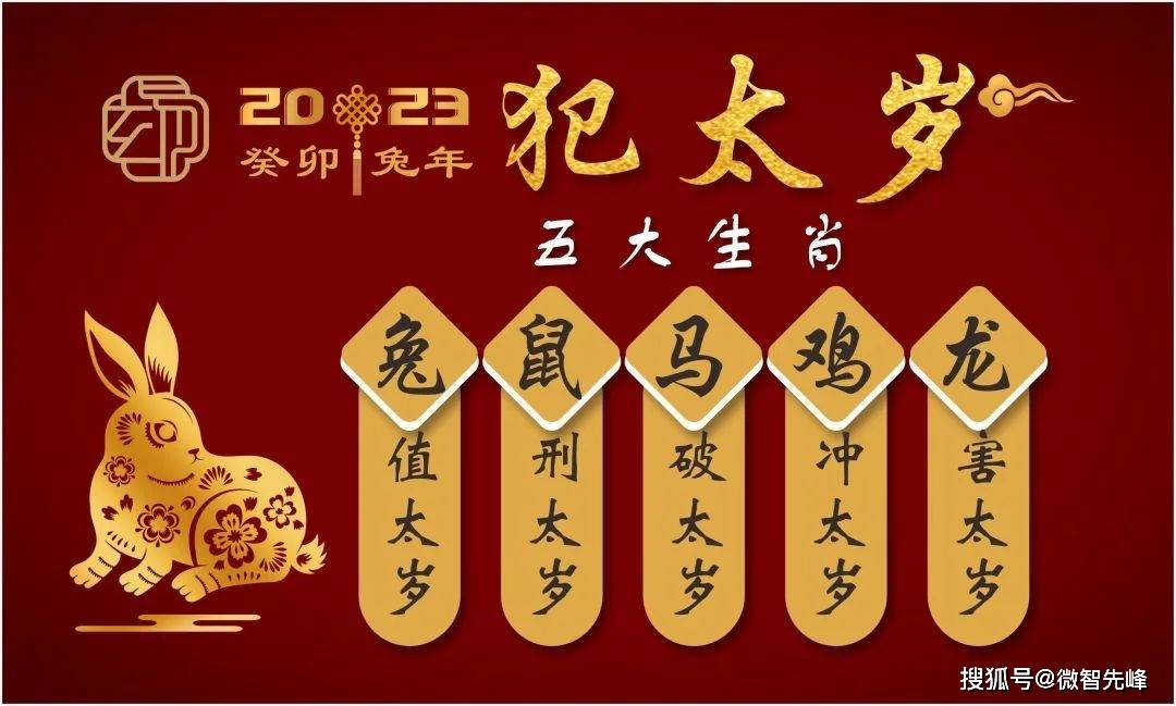 属马的人生孩子属相_马属相属生好孩子会怎么样_属马生什么属相孩子好