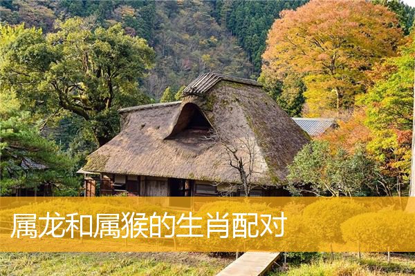 属猴龙年的运势怎么样_属龙和属猴_属猴龙的今年多大年龄