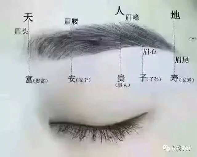 八卦相术_八卦相术疗法怎么念数字_八卦相术数字疗法