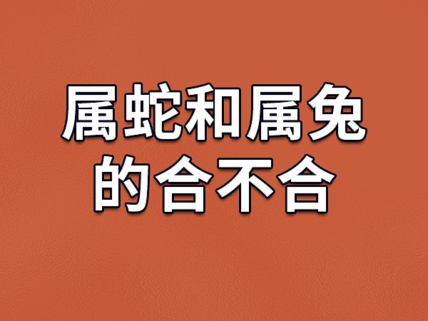 属鼠配蛇的婚姻怎么样_属鼠婚配蛇男女好不好_男属鼠女属蛇婚配