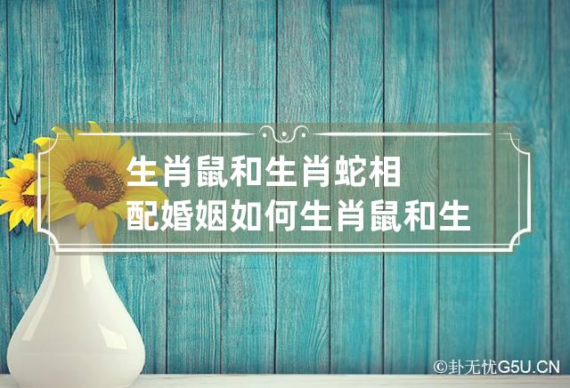 属鼠和属蛇结婚合适吗_属鼠和属蛇的婚姻状况_属蛇和属鼠婚配