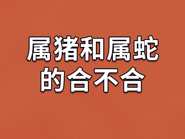 2001年属蛇男的婚姻_2001年男属蛇的婚配_2001属蛇男婚配对象