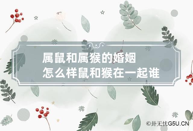 属鼠女孩婚配_鼠女婚配属相最好_属鼠女孩配对