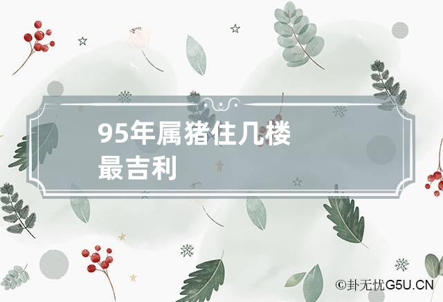 属猪水瓶座的幸运数字_属猪水瓶座的幸运数字是几_属猪水瓶座幸运石