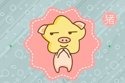 前后生肖怎么分_生肖前面的字是什么意思_三五前后有好码是什么生肖