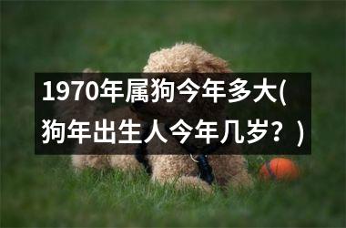 命理富贵的女人_富贵命的女人旺夫吗_几月生的女人有富贵命