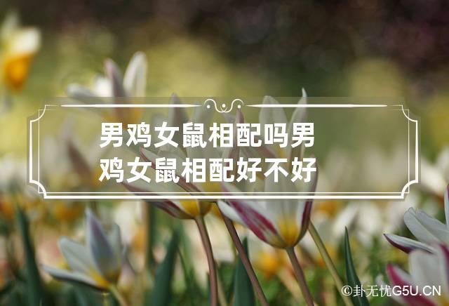 鼠配蛇的婚姻怎么样好吗_鼠和蛇适合结婚吗_鼠和蛇婚配