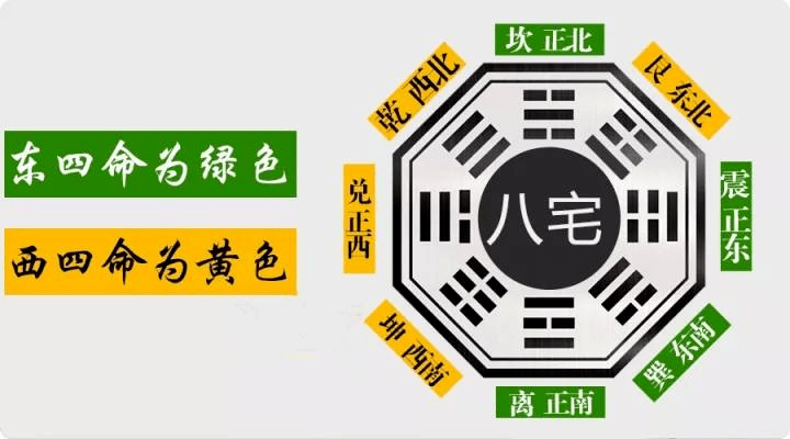 今期生肖找桃花打一肖_今期生肖开桃花_今期生肖找桃花的动物