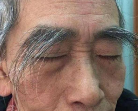 眉毛相术过三关大全图解_相术眉毛_眉毛相术口诀