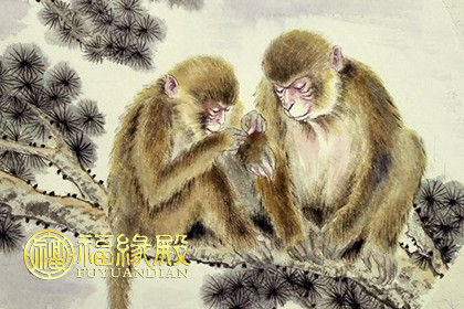84年属鼠女人2018感情_属鼠女性2021年感情运势_属鼠的女人今年的爱情